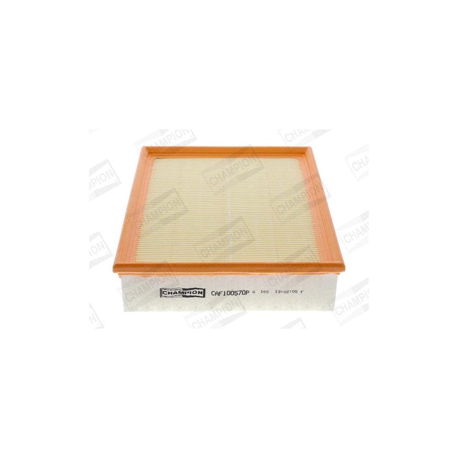Champion Caf100570P Air Filter
