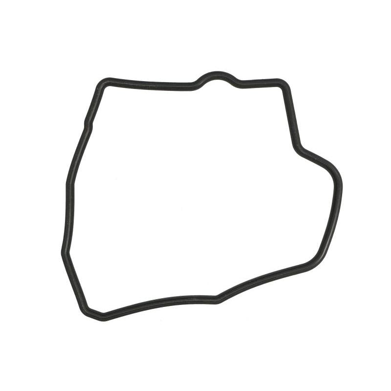 WINDEROSA W819066 Cylinder Head Cover Gasket