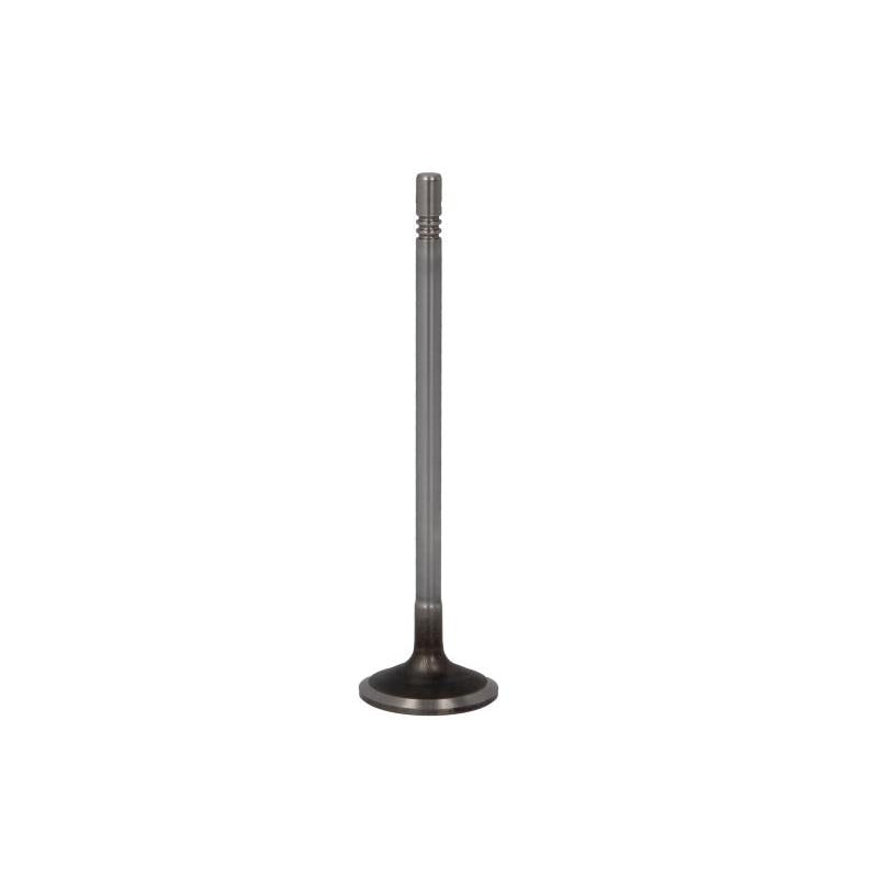 FRECCIA 8003/SCR Intake Valve