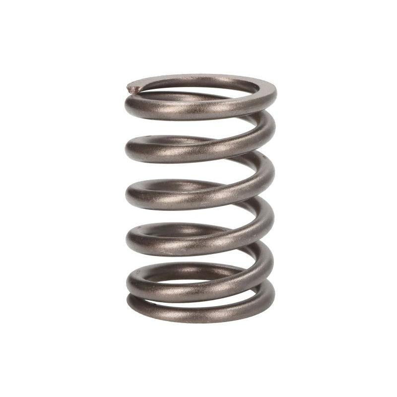 VAPORMATIC VPA2005 Valve Spring