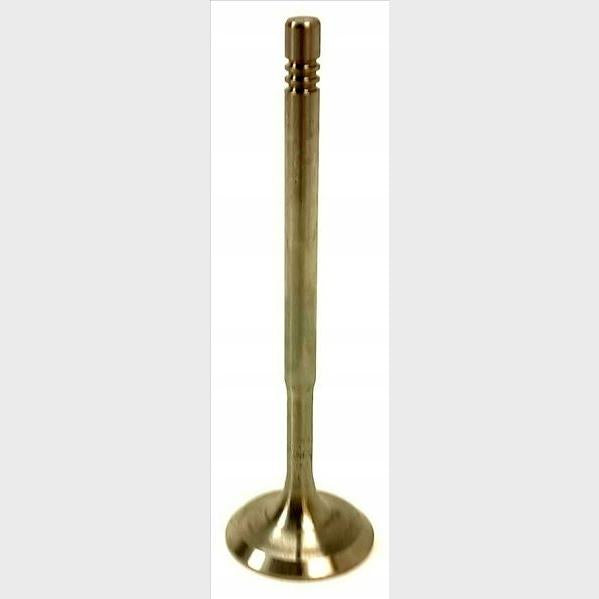 RIVOLV RIV4106162 Intake Valve