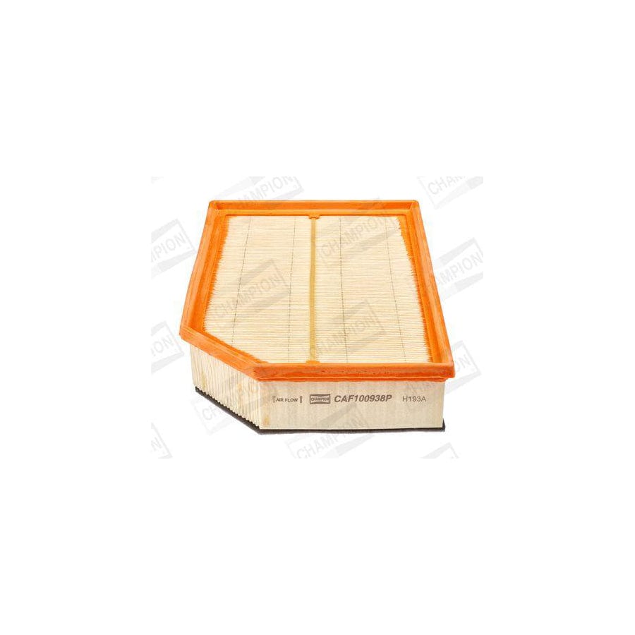 Champion Caf100938P Air Filter
