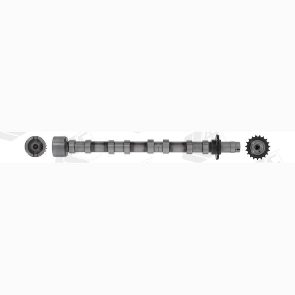 AE CAM1031 Camshaft
