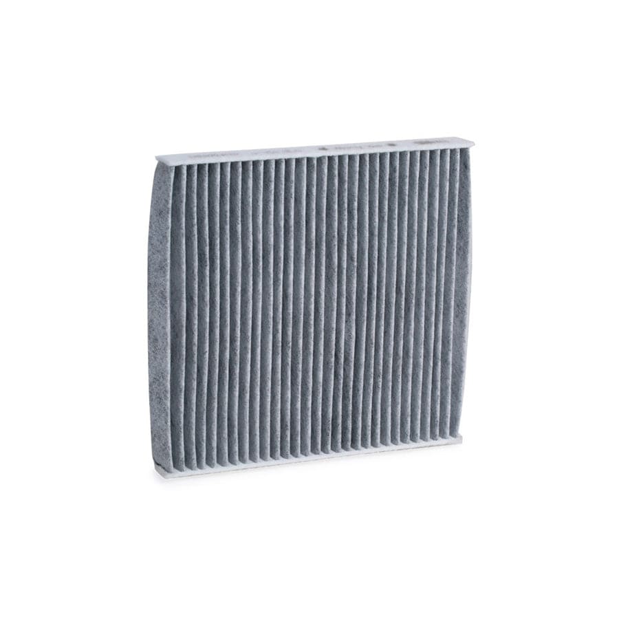 Champion Ccf0050C Pollen Filter