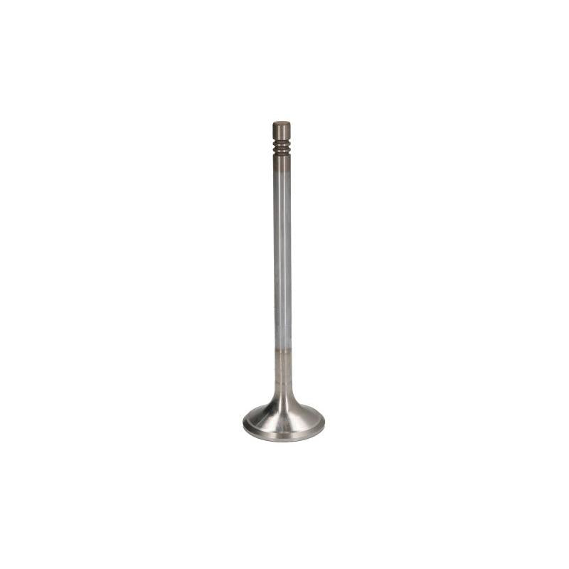 VM MOTORI VM20372009F Exhaust Valve