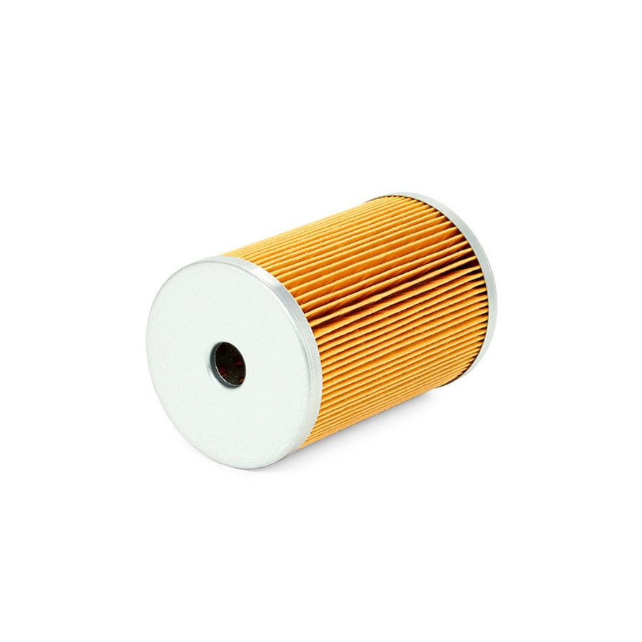 Champion Cff100135 Fuel Filter