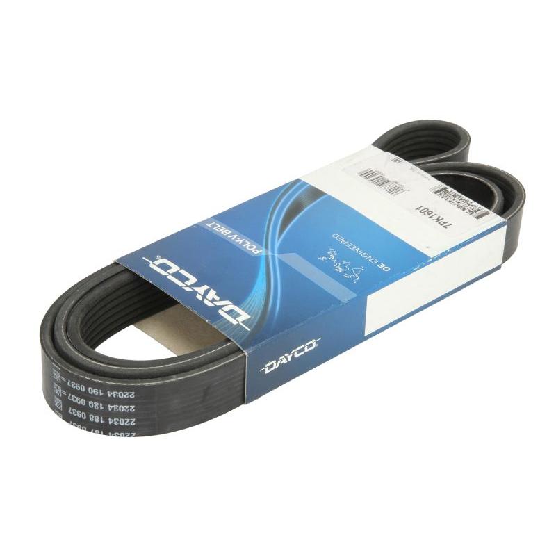 DAYCO DAY7PK1601 V-Ribbed Belt