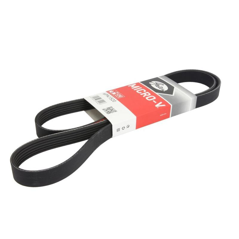 GATES GAT6PK1520 V-Ribbed Belt