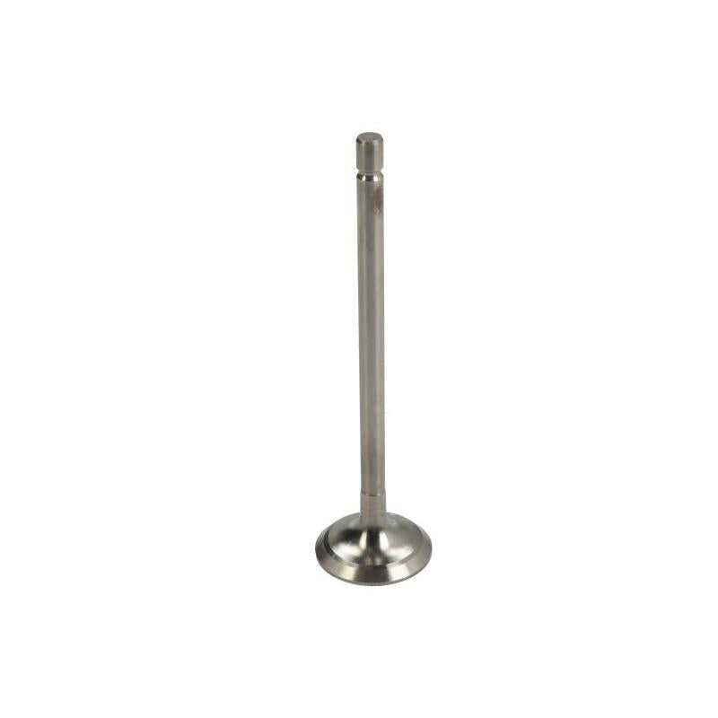PARADOWSCY PHYU040 Intake Valve