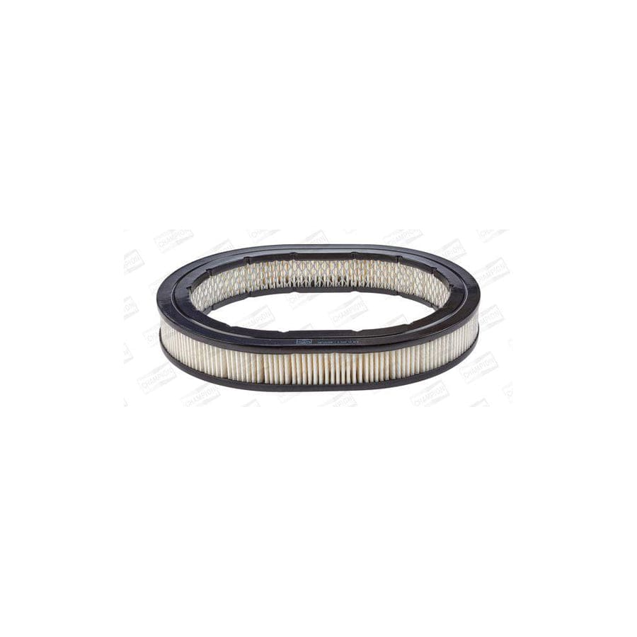 Champion Caf100159R Air Filter