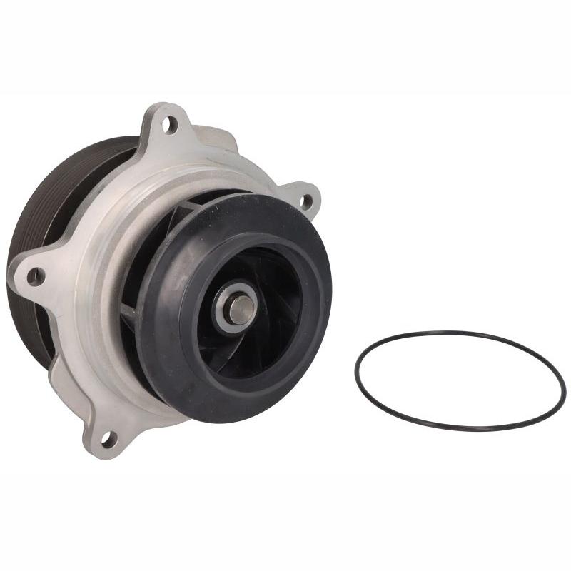 DOLZ DOLZD321 Water Pump