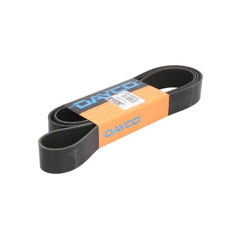 DAYCO DAY10PK1950HD V-Ribbed Belt