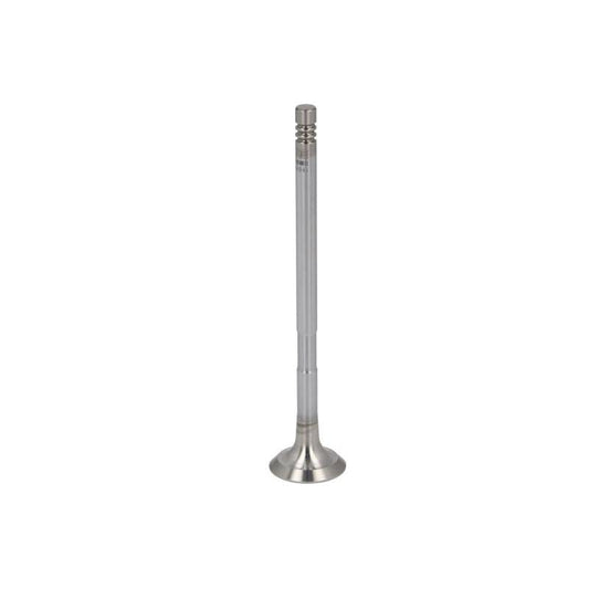 NE 148020001000 Exhaust Valve