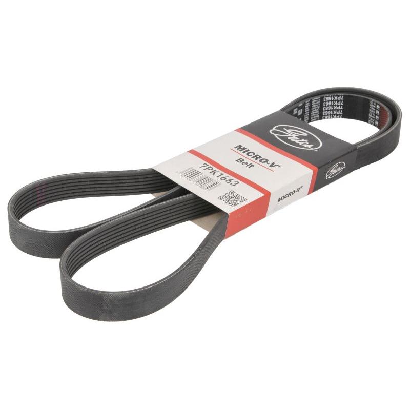 GATES GAT7PK1663 V-Ribbed Belt