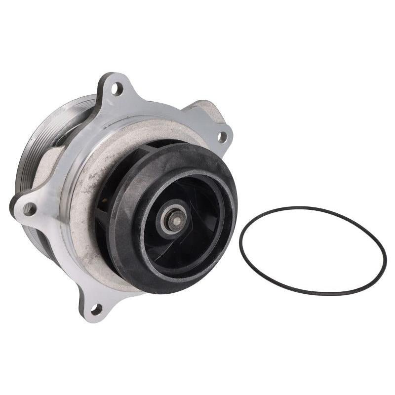 DOLZ DOLZD328 Water Pump