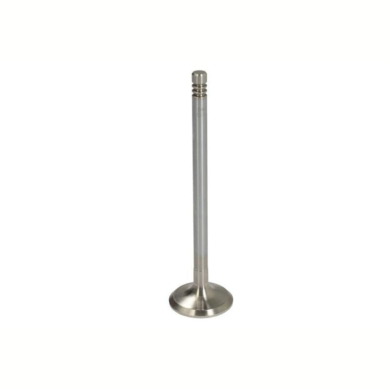 NE 148035000400 Exhaust Valve