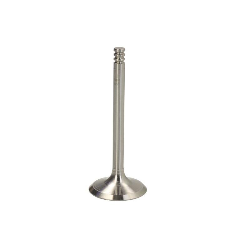 NE 147050002801 Intake Valve