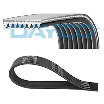 DAYCO DAY8PK1215HD V-Ribbed Belt