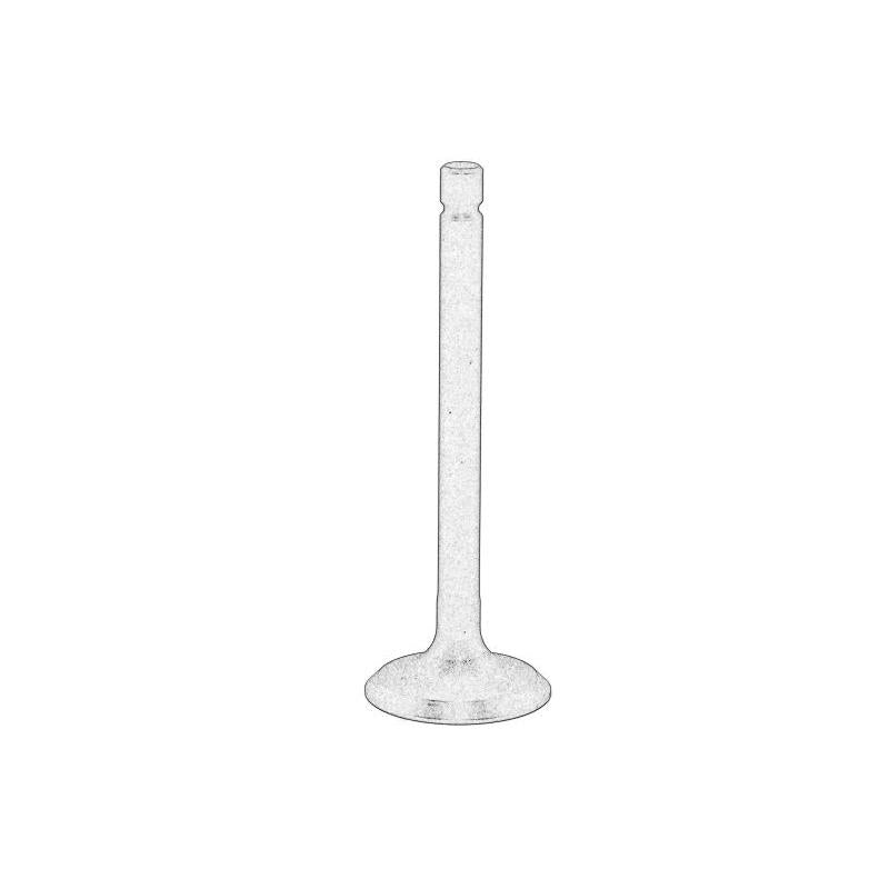 OE PERKINS 120166240-PER Intake Valve