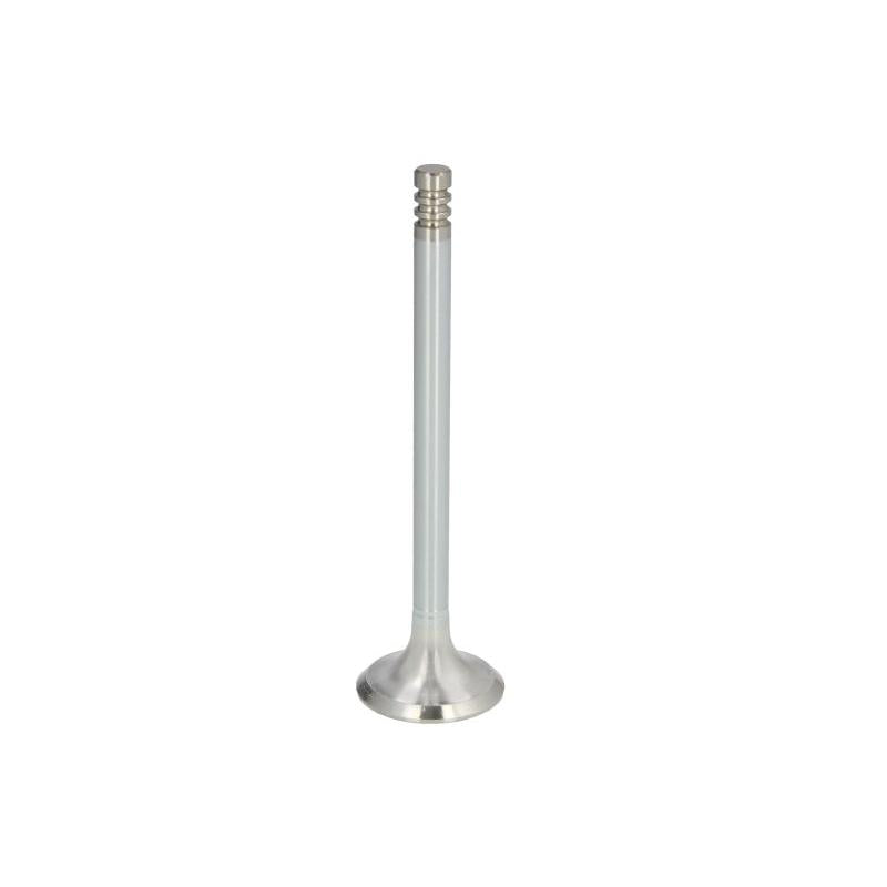 NE 148035000100 Exhaust Valve
