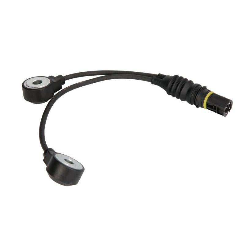 FAE AE60213 Knock Sensor