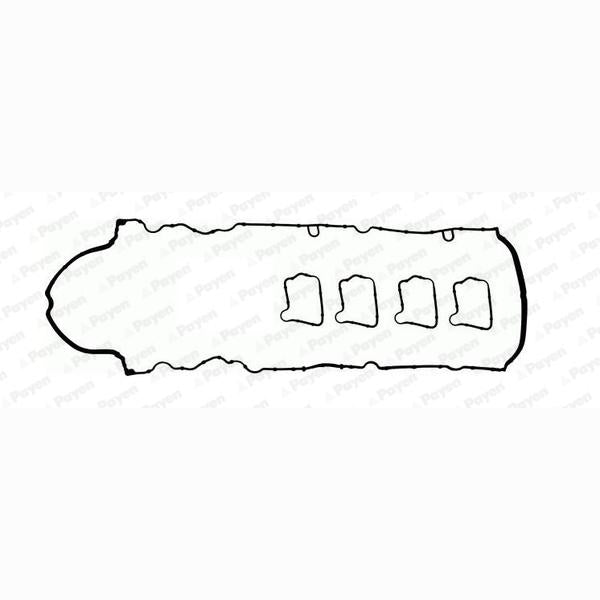 PAYEN HM5406 Cylinder Head Cover Gasket Set