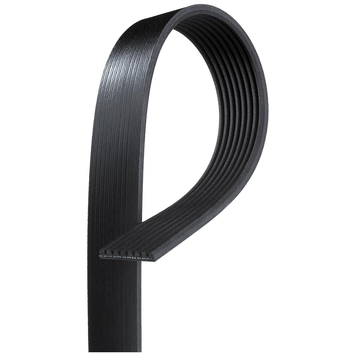GATES GAT8PK1538HD V-Ribbed Belt
