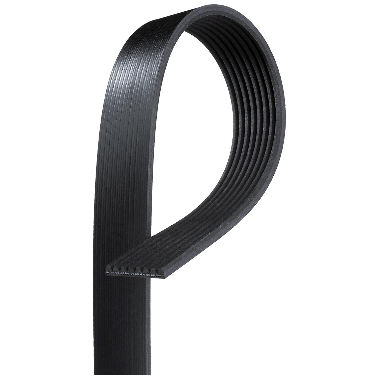 GATES GAT8PK1538HD V-Ribbed Belt