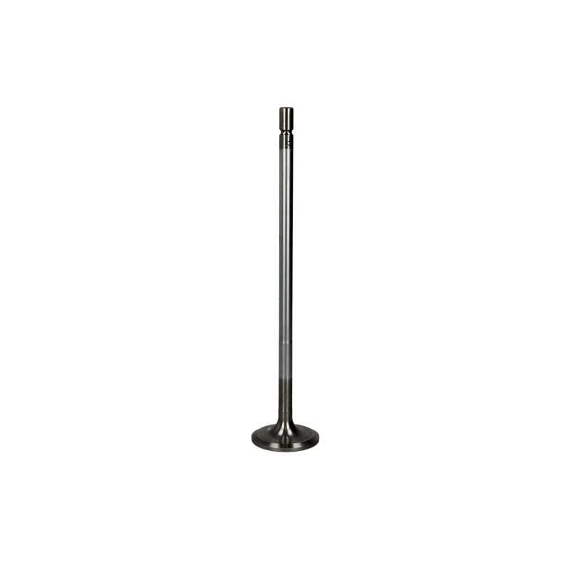 PARADOWSCY PVOL073 Intake Valve