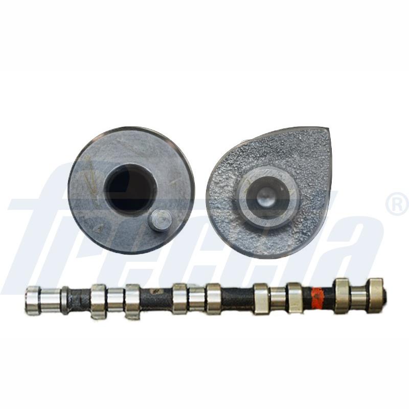 FRECCIA CM05-2173 Camshaft