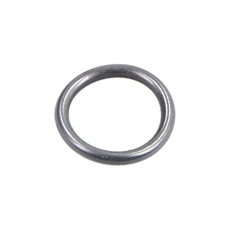 HANS PRIES 100-678 Injector Seal Ring