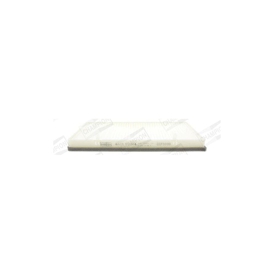 Champion Ccf0099 Pollen Filter