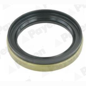 PAYEN NJ880 Wheel Hub Shaft Seal