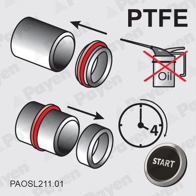 PAYEN LK5022 Crankshaft Shaft Seal
