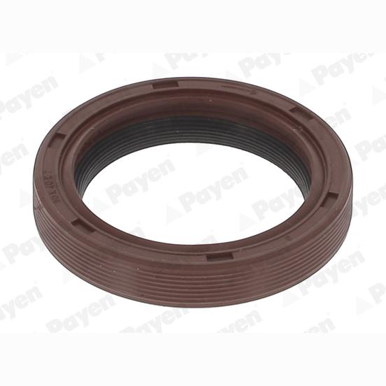PAYEN NA5499 Crankshaft Shaft Seal