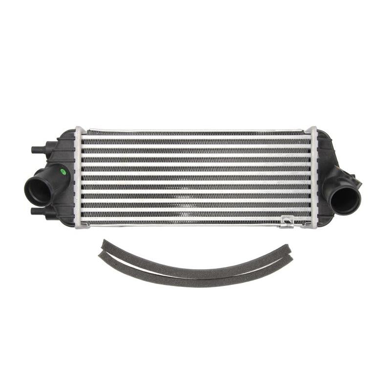 NISSENS NIS96309 Charge Air Cooler