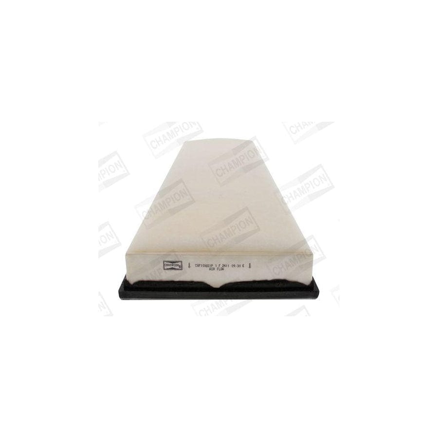 Champion Caf100651P Air Filter