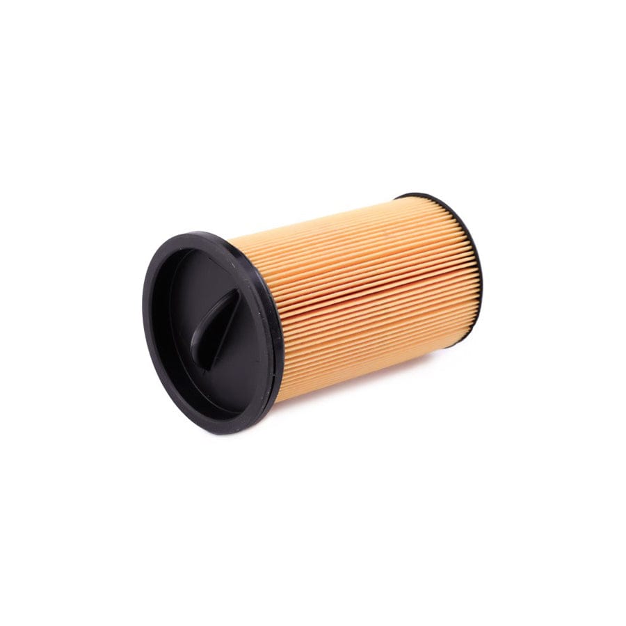 Champion Cff100430 Fuel Filter for BMW 3 Series