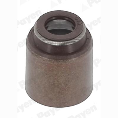 PAYEN PA418 Valve Stem Gasket/Seal