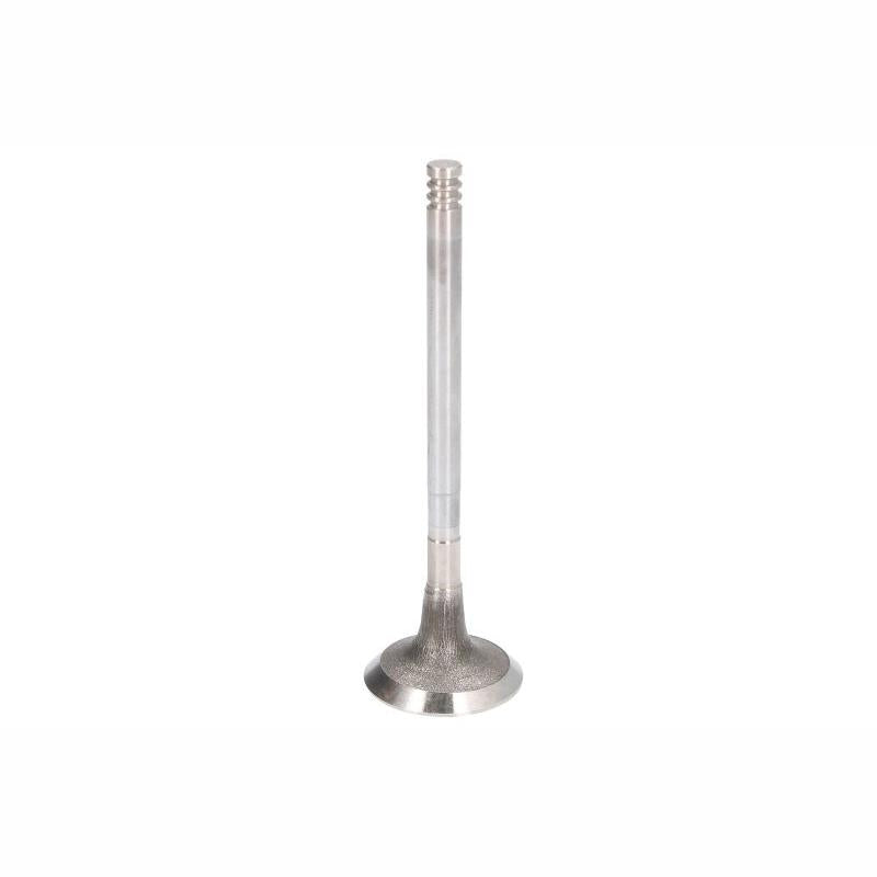 FRECCIA 8094/R Exhaust Valve