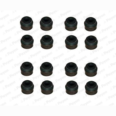 PAYEN HR814 Valve Stem Seal Set