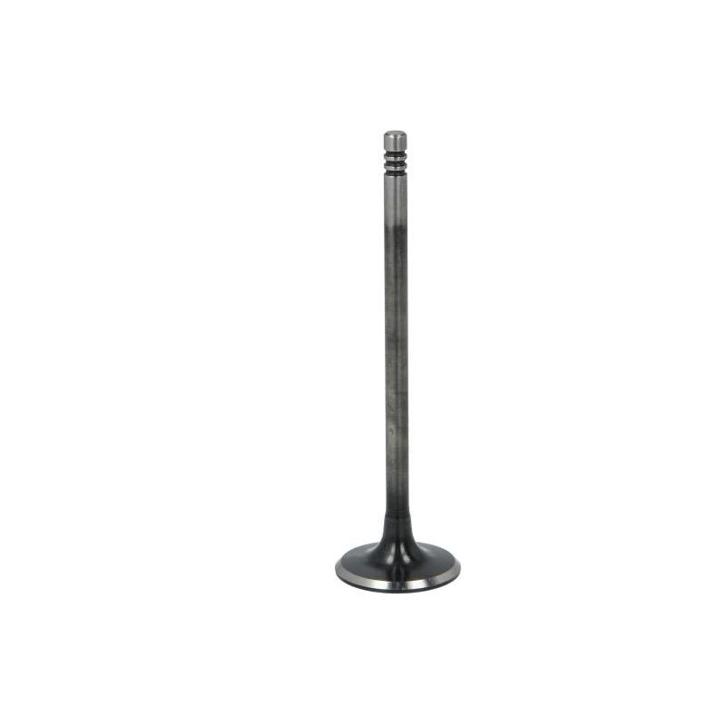 NE 147021000300 Intake Valve