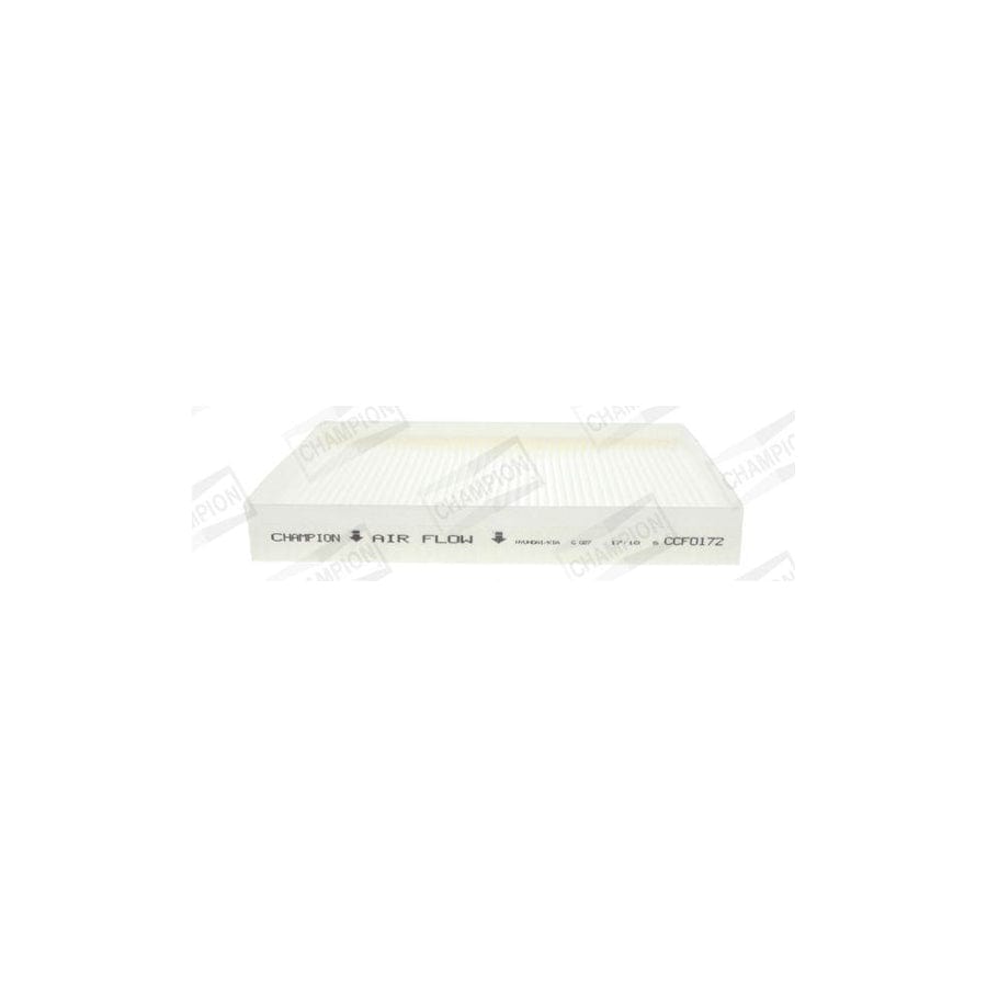 Champion Ccf0172 Pollen Filter