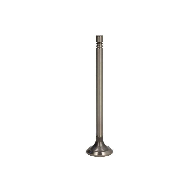 PARADOWSCY PMER120 Intake Valve