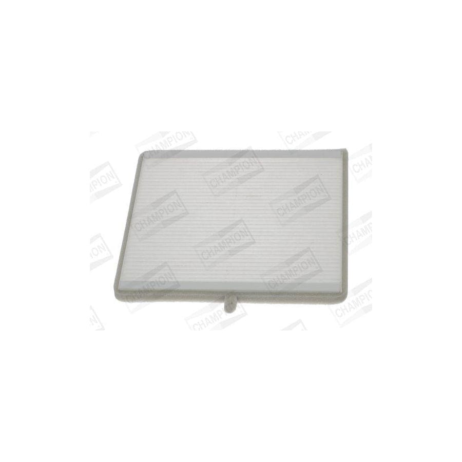 Champion Ccf0441 Pollen Filter