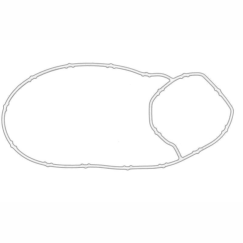 OE VW 06L121043B Water Pump Gasket