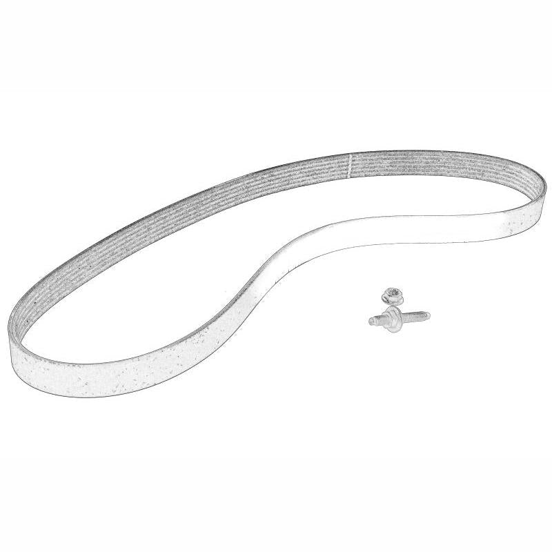 OE FORD 2115144 V-Ribbed Belt