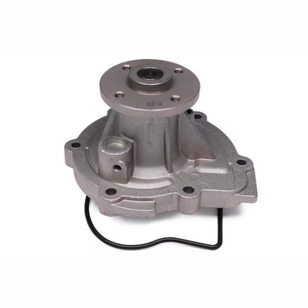 HEPU P7421 Water Pump