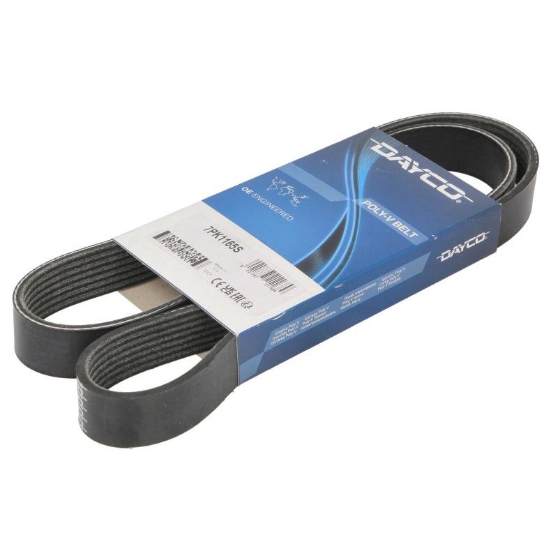 DAYCO DAY7PK1165S V-Ribbed Belt