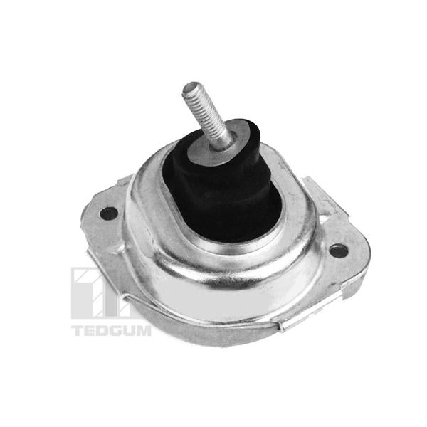 TEDGUM 00088531 Engine Mount